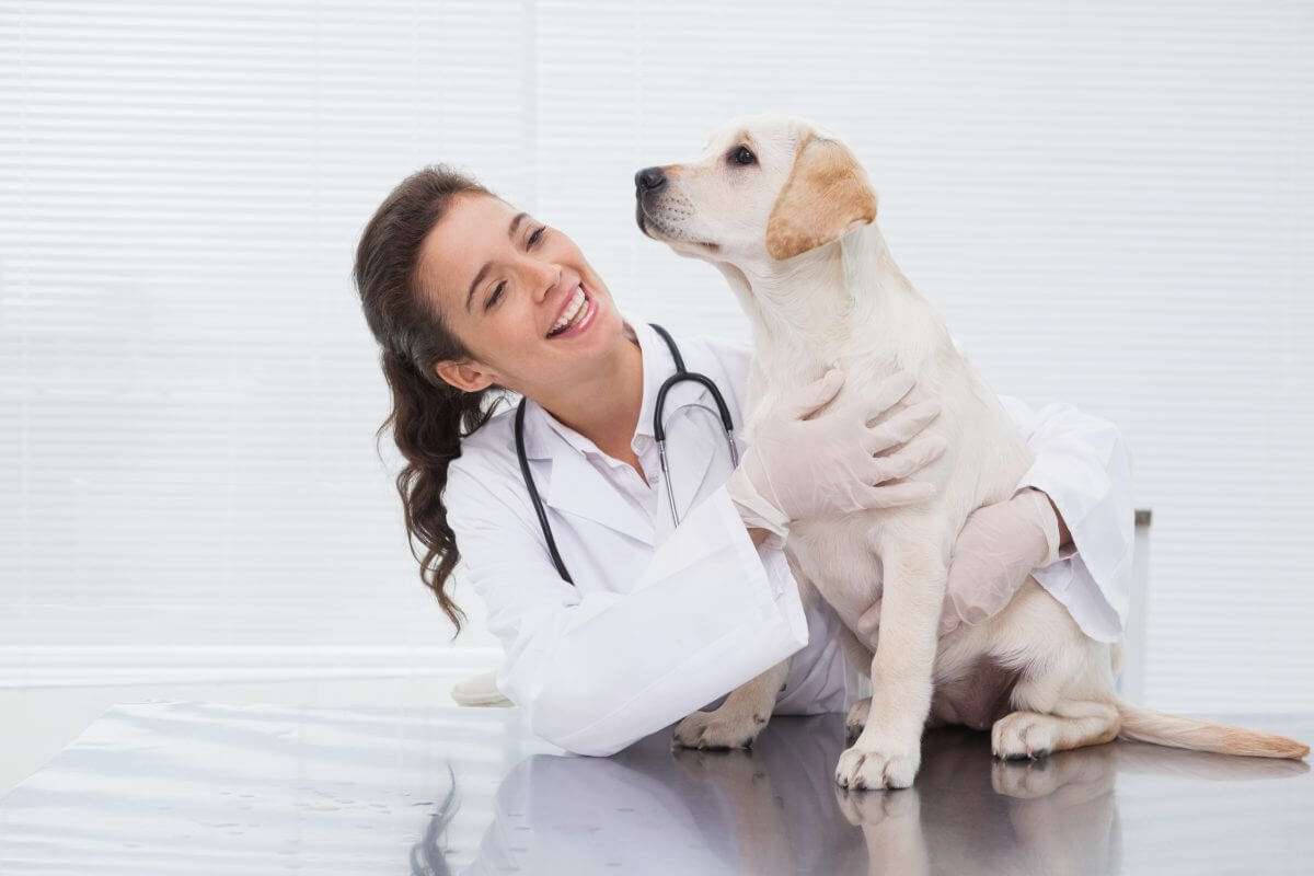 ¿Qué es la etología clínica?
