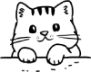 Gato